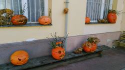 IMG_20181022_100938