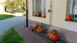 IMG_20181022_101005