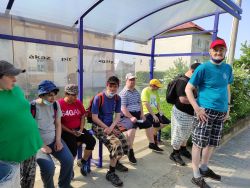IMG_20210608_084842