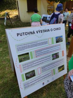 IMG_20210608_092603